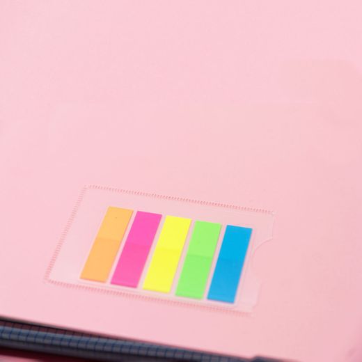 Carpeta LakeLand Rosa pastel. Carpeblock Din A4 completo
