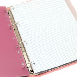 Carpeta LakeLand Rosa pastel. Carpeblock Din A4 completo