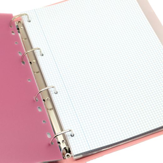 Carpeta LakeLand Rosa pastel. Carpeblock Din A4 completo